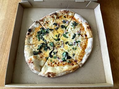 451 Pizza food truck logo