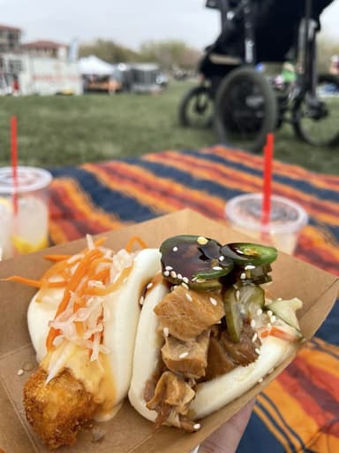 Bonzai Boyz food truck logo