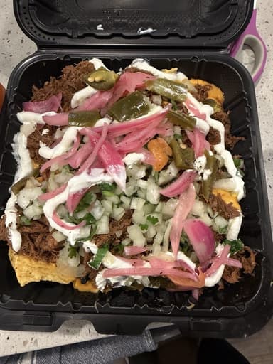 Birria Kings El Cheesy Taco food truck logo