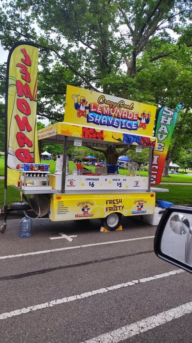 Bust N Lemonade and Shaved Ice food truck logo