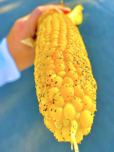 Best Roasted Corn Stand food truck logo