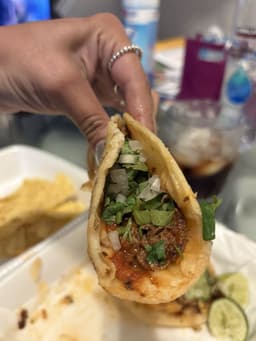 Francisco's Taco Madness