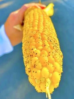 Best Roasted Corn Stand